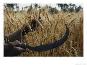 Day Of The Lord Radio http://www.blogtalkradio.com/dayofthelord