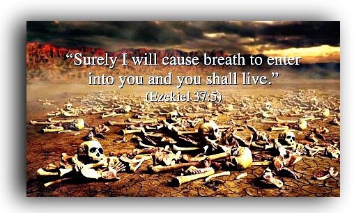 Ezekiel Valley of The Dry Bones Vision