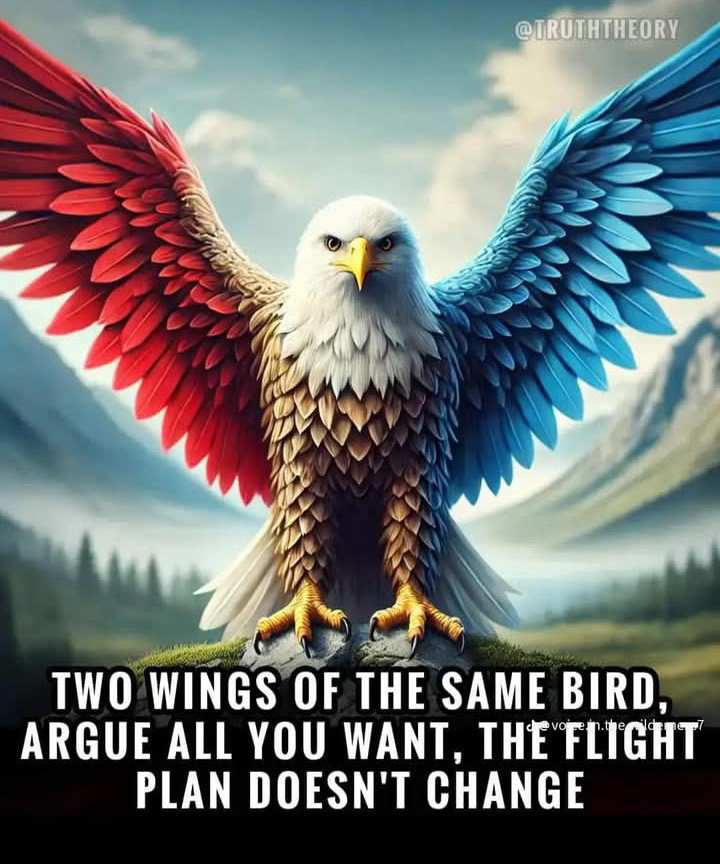 politics new world order