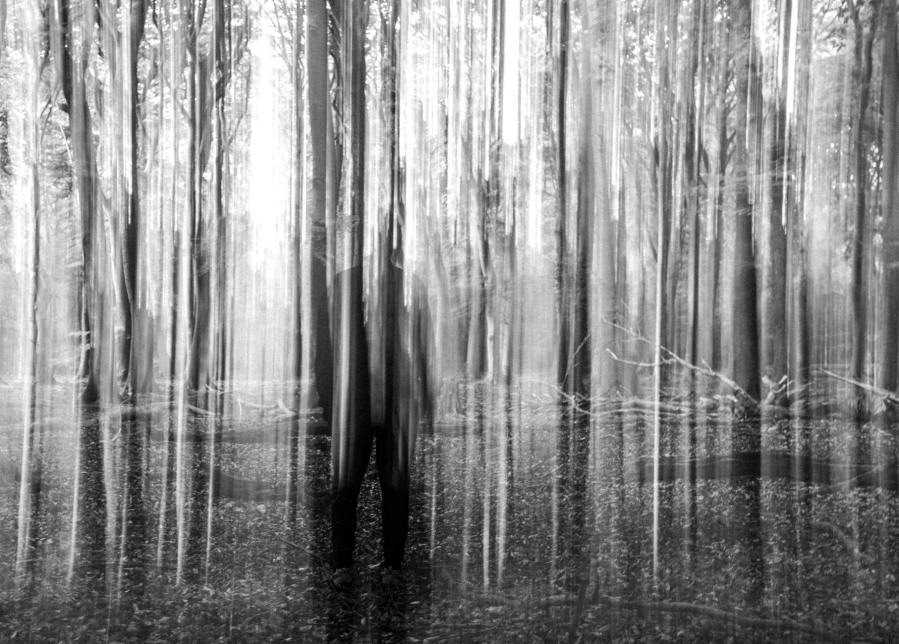mystical black and white forest scene with ghostly figure
